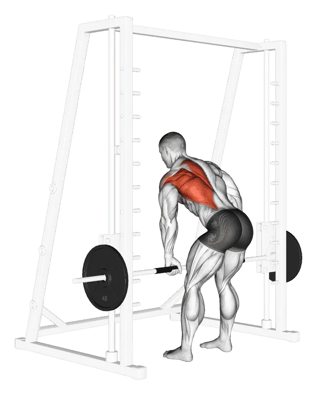Smith Machine One-Arm Row