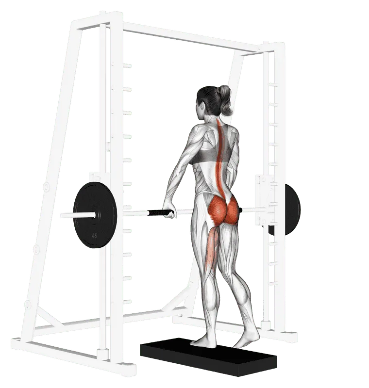 Smith Machine One-Leg Deadlift, Female demonstration, Start