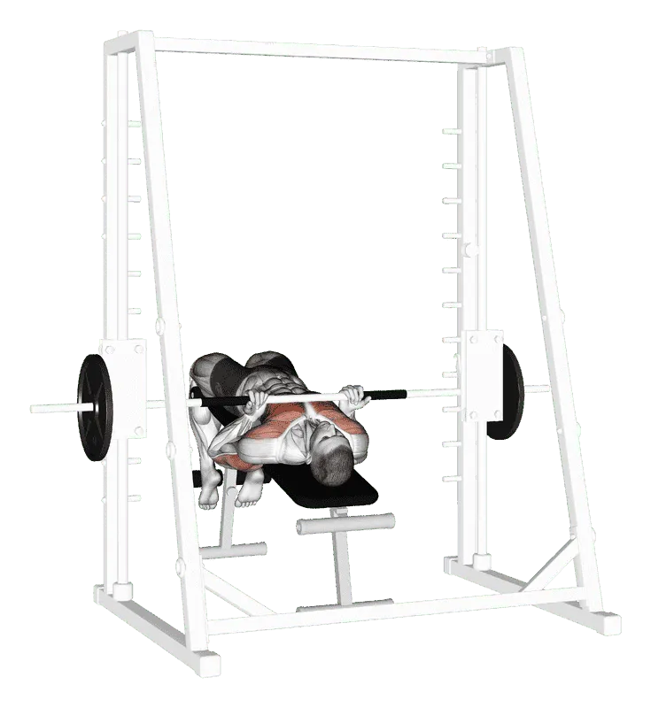 Smith Machine Reverse Decline Close Grip Bench Press