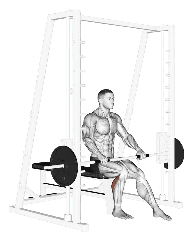 Smith Machine Seated One-Leg Calf Raise