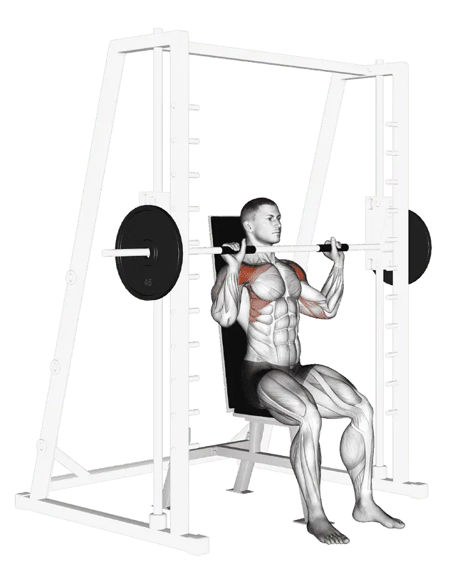 Smith Machine Seated Shoulder Press, Male demonstration, Start