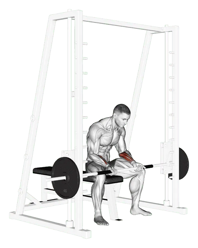 Smith Machine Seated Wrist Curl