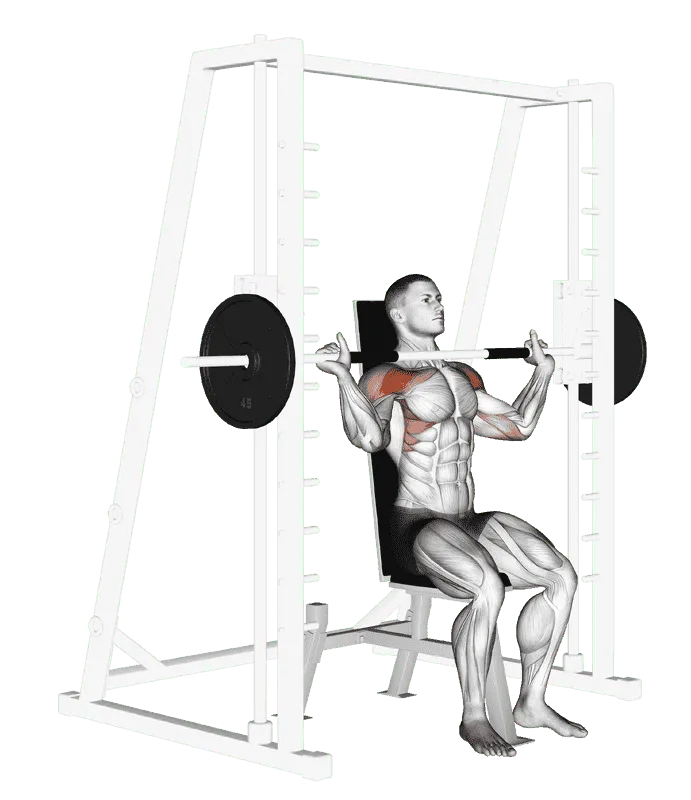 Smith Machine Shoulder Press, Male demonstration, Start