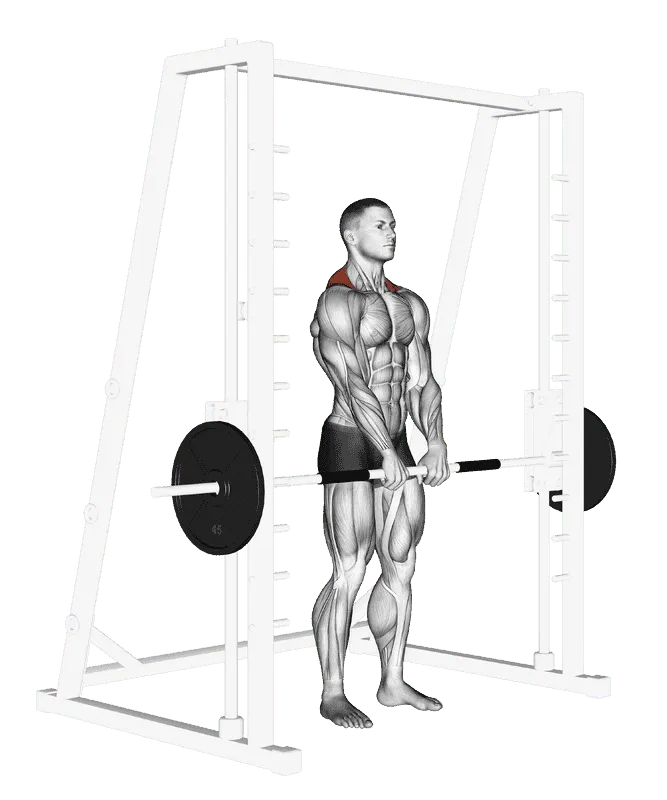 Smith Machine Shrug, Male demonstration, Start