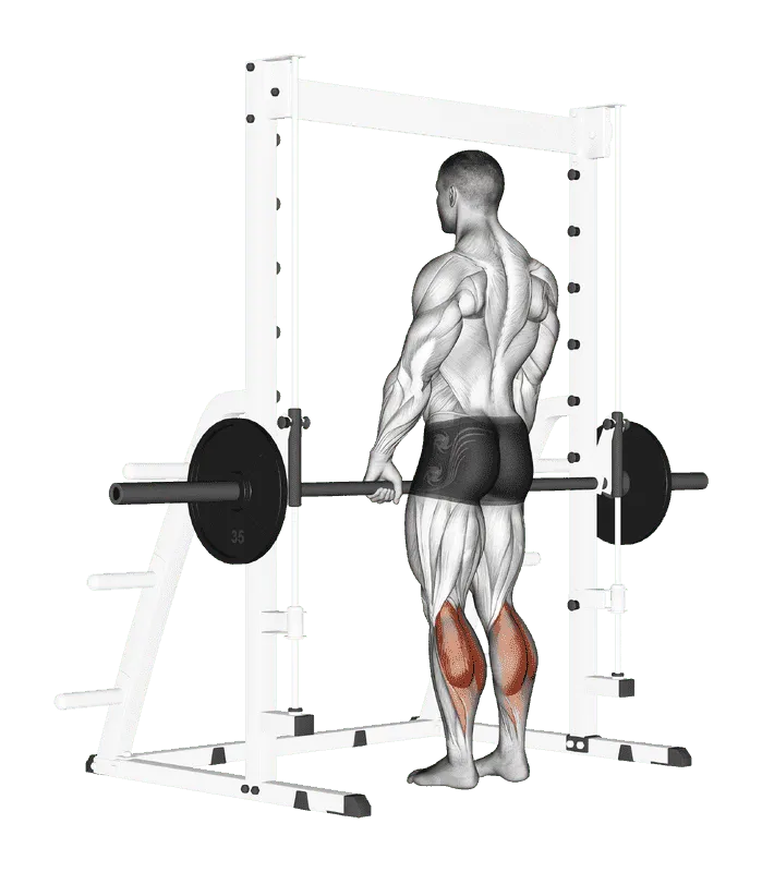 Smith Machine Standing Calf Raise, Male demonstration, Start