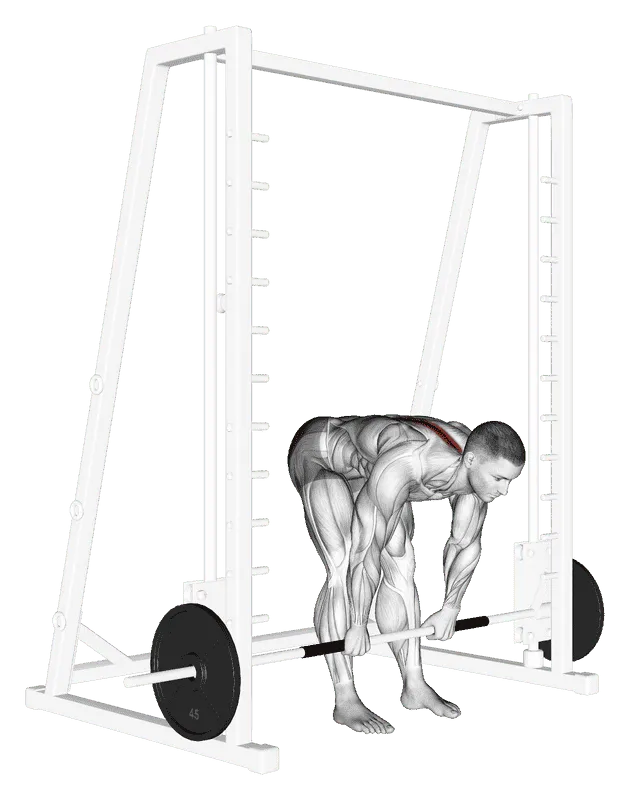 Smith Machine Stiff-Legged Deadlift