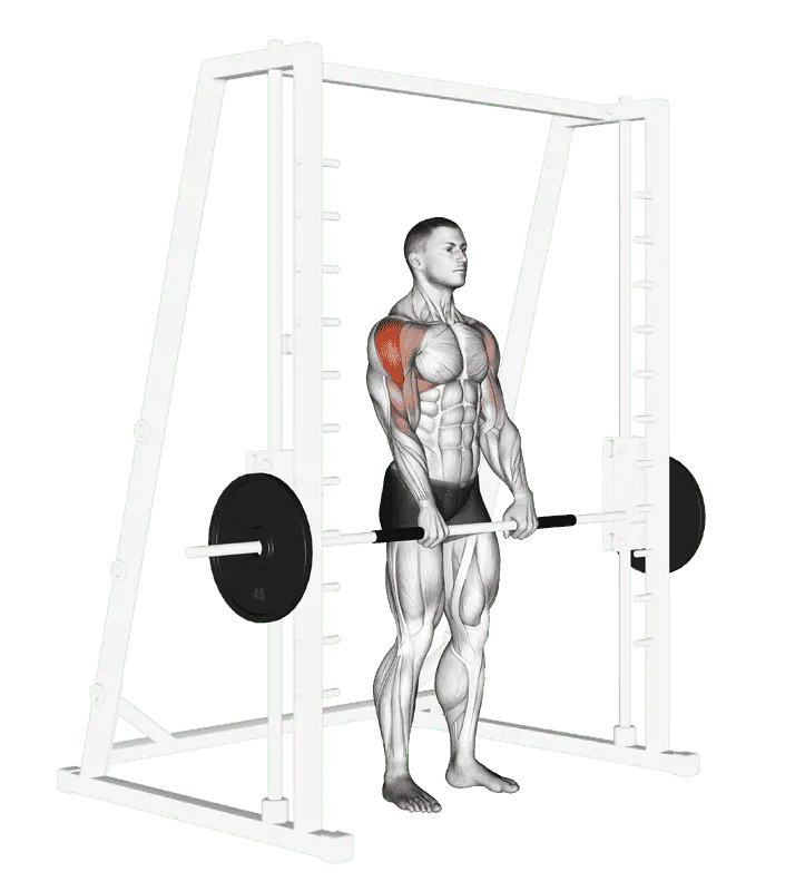 Smith Machine Upright Row