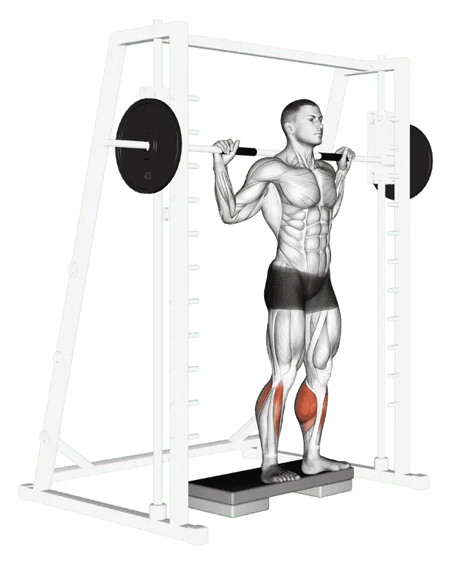 Smith Reverse Calf Raises, Male demonstration, Start