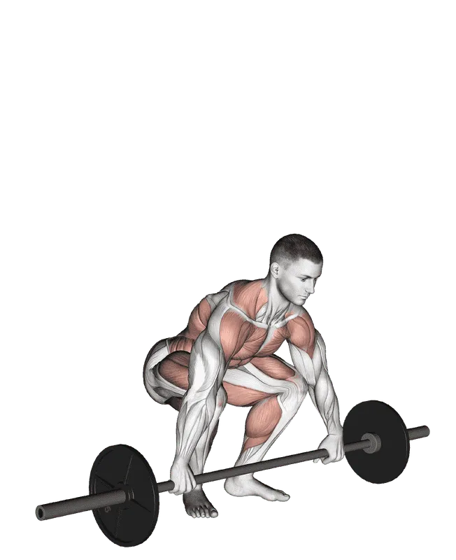 Snatch Pull, Male demonstration, Start