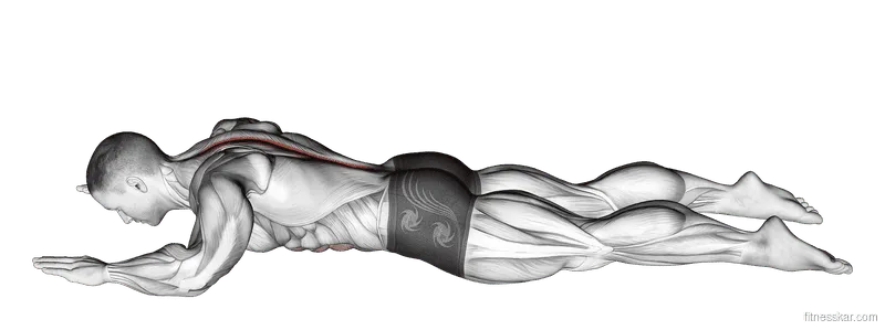 Sphinx Stretch