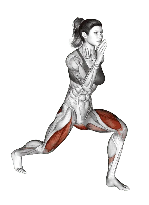 Split Squat
