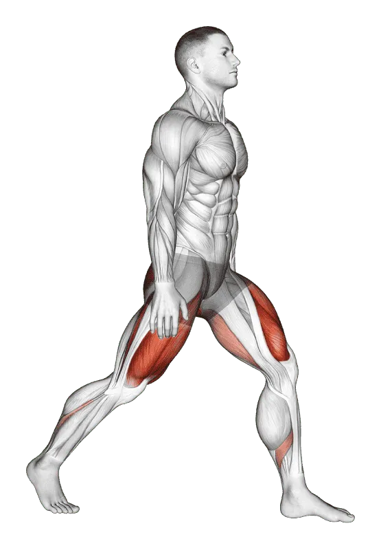 Split Squats, Male demonstration, Start