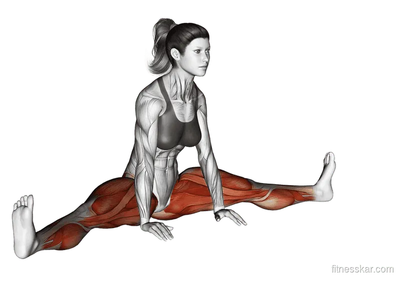 Spread Leg Forward Fold (Upavistha Konasana)