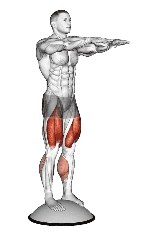 Squat on Bosu Ball, Male demonstration, Start