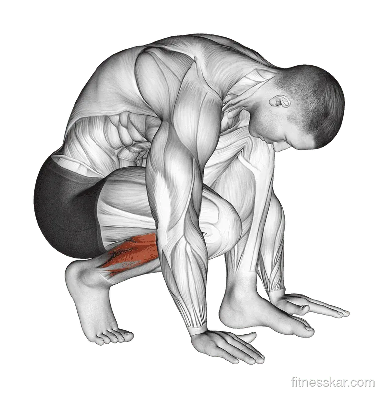 Squatting Toe Stretch, Male demonstration, Start