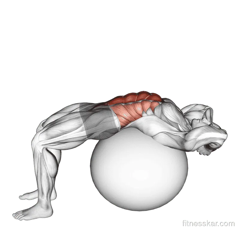 Stability Ball Crunch (Full Range, Hands Behind Head)