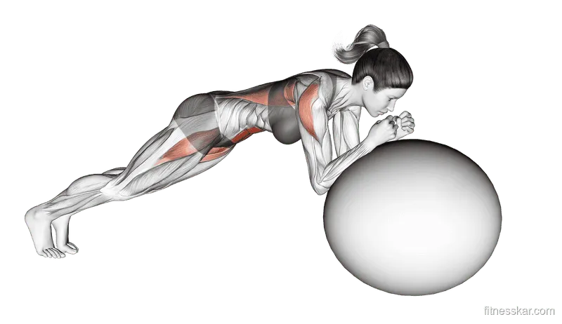 Stability Ball Rollout