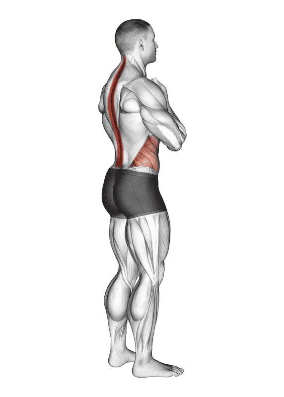 Standing Back Rotation Stretch, Male demonstration, Start
