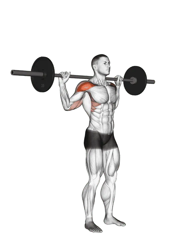 Standing Behind Neck Press, Male demonstration, Start