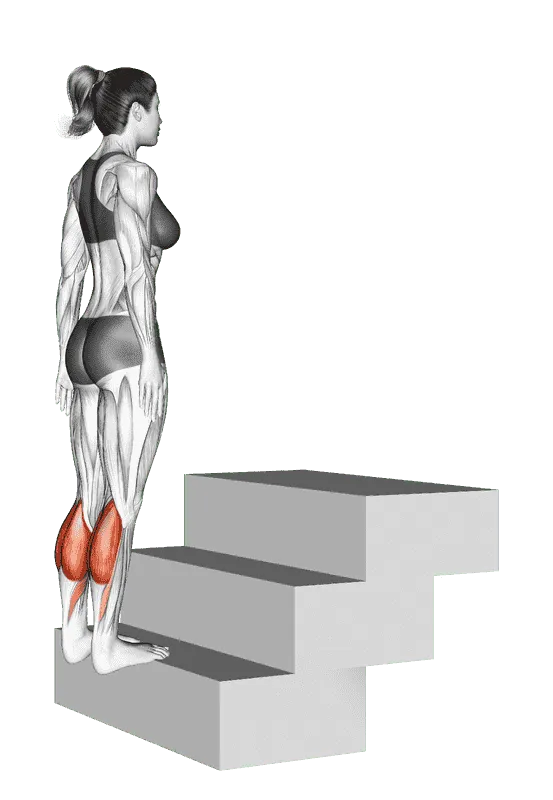 Standing Calf Raise (On a Staircase), Female demonstration, Start
