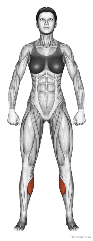 Standing Calf Raise