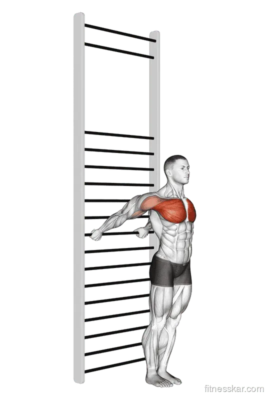 Standing Chest Stretch (with Training Wall Bars), Male demonstration, Start