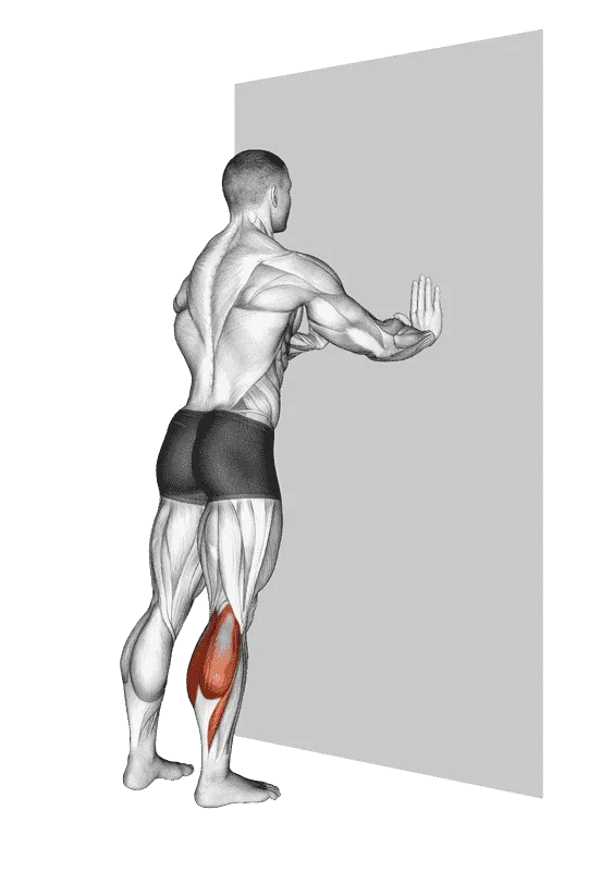Standing Gastrocnemius Stretch