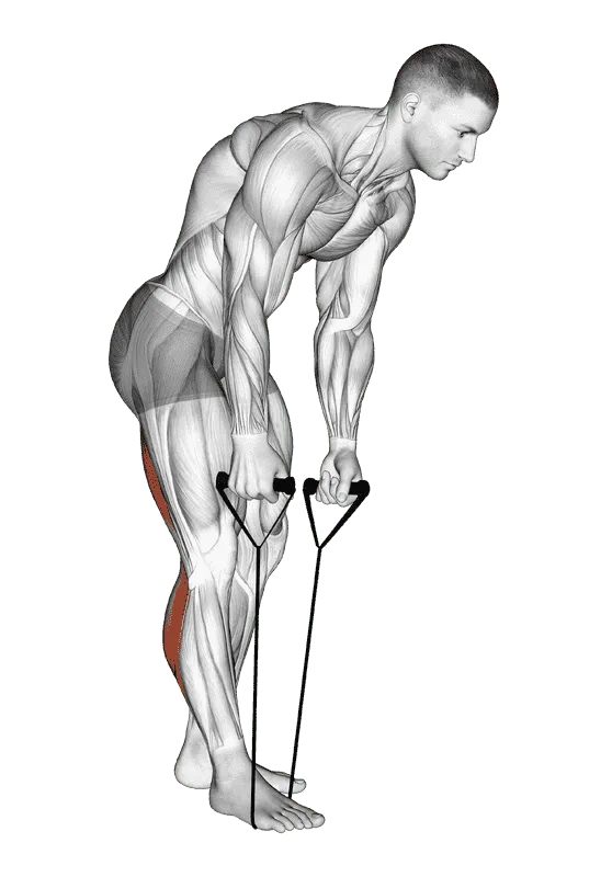 Standing Hamstring and Calf Stretch with Bands, Male demonstration, Start