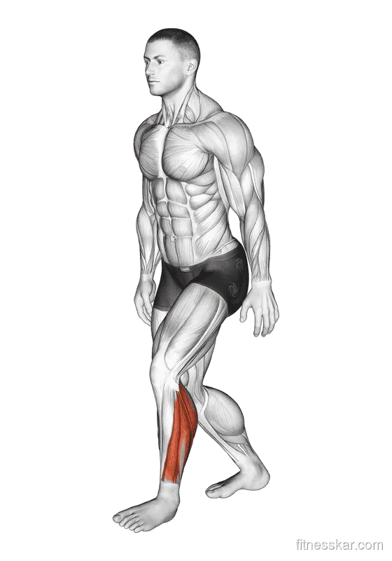 Standing Heel Back Achilles Stretch