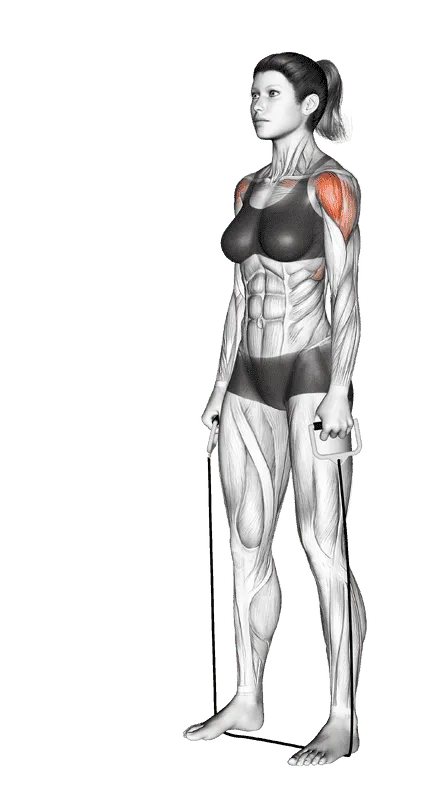 Standing Lateral Raise (with band)