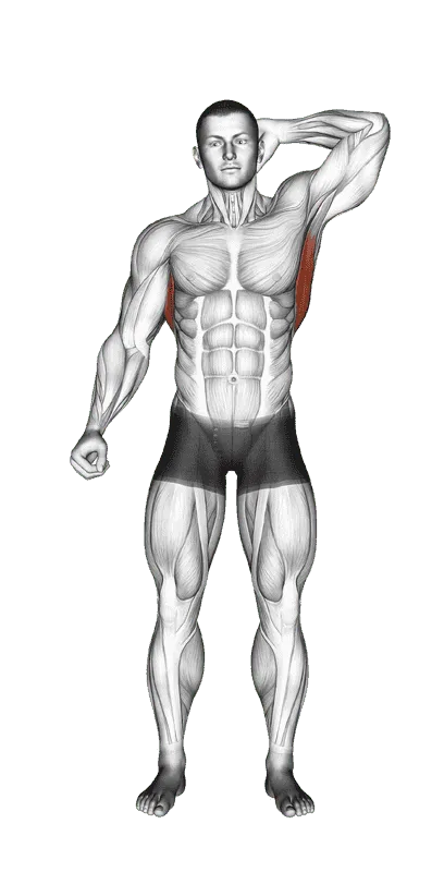 Standing Lateral Stretch