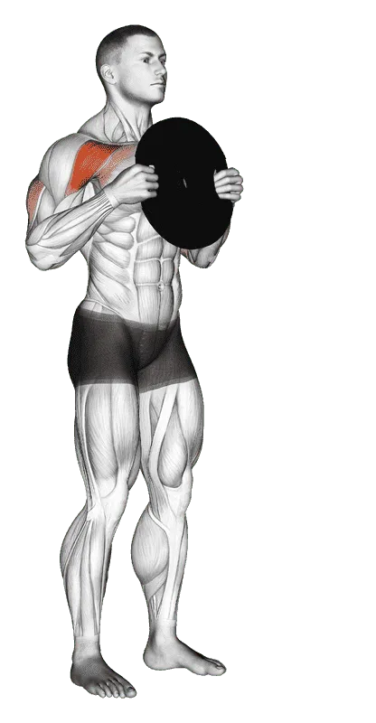 Standing Plate Press