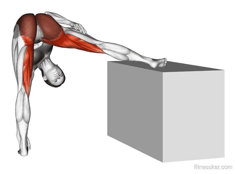 Standing Raised Leg Hip Adductor Stretch - Start