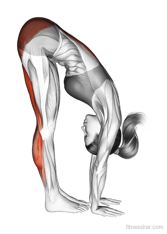 Standing Reach Down Hamstring Stretch