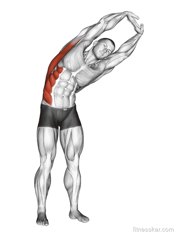 Standing Side Stretch