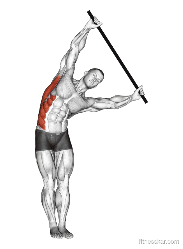 Standing Side Stretch with Stick, Male demonstration, Start