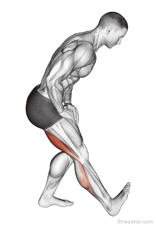 Standing Toe-Up Hamstring Stretch, Male demonstration, Start