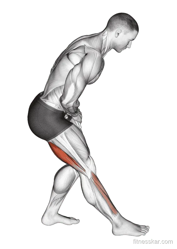 Standing Toe Down Hamstring Stretch, Male demonstration, Start