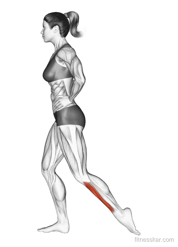 Standing Toe Extensor Stretch, Female demonstration, Start