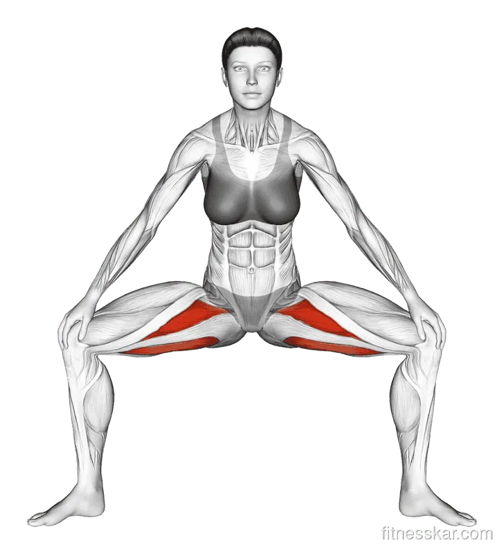 Standing Wide Knees Adductor Stretch, Female demonstration, Start