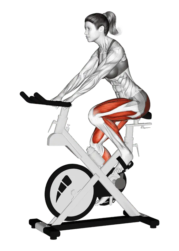 Stationary Bike Run, Female demonstration, Start
