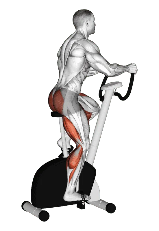Stationary Bike