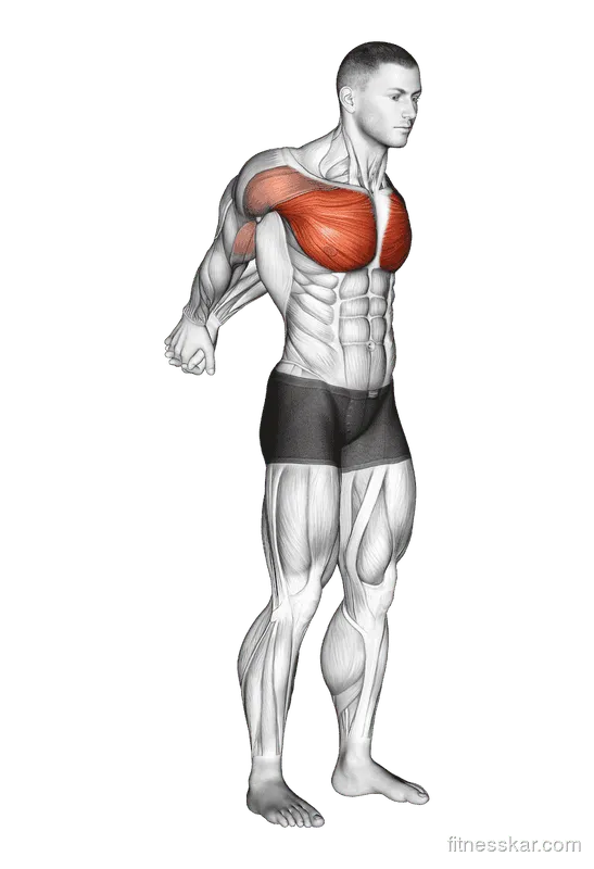 Straight Arms Backward Chest Stretch