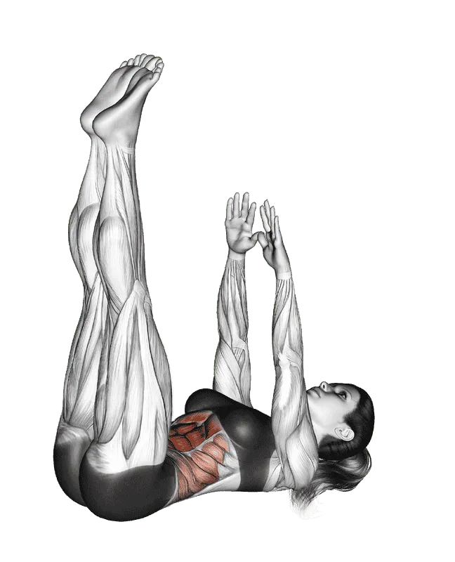 Straight Leg Up Crunch