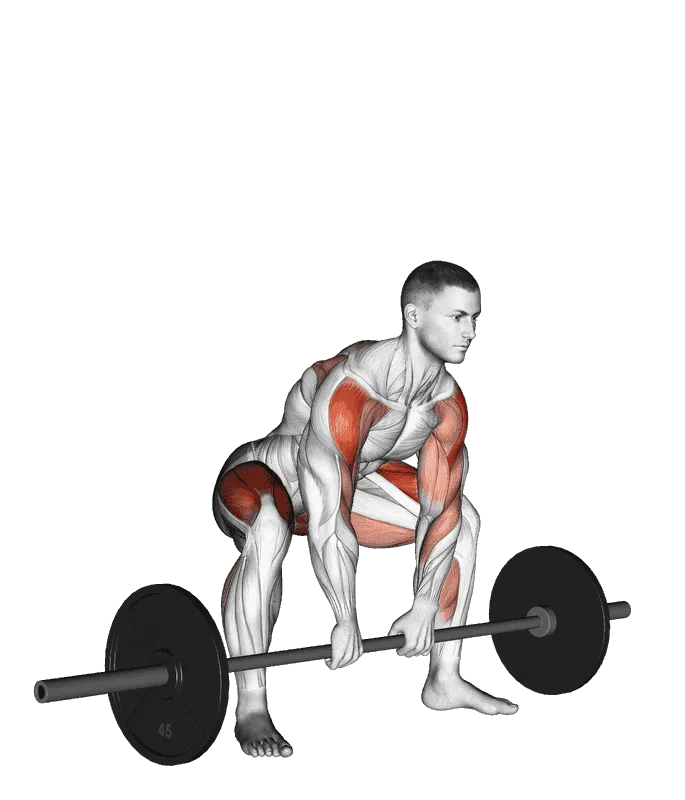 Sumo Deadlift High Pull