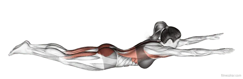 Superman Exercise