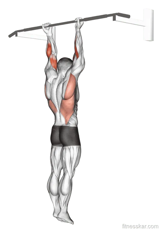 Supination Bar Suspension Stretch