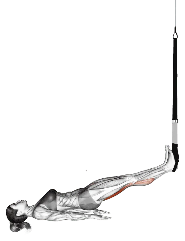 Suspended Hamstring Curl, Female demonstration, Start
