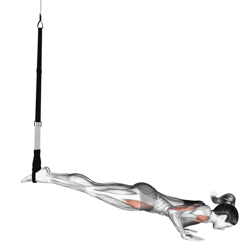 Suspended Mountain Climber Push-Up