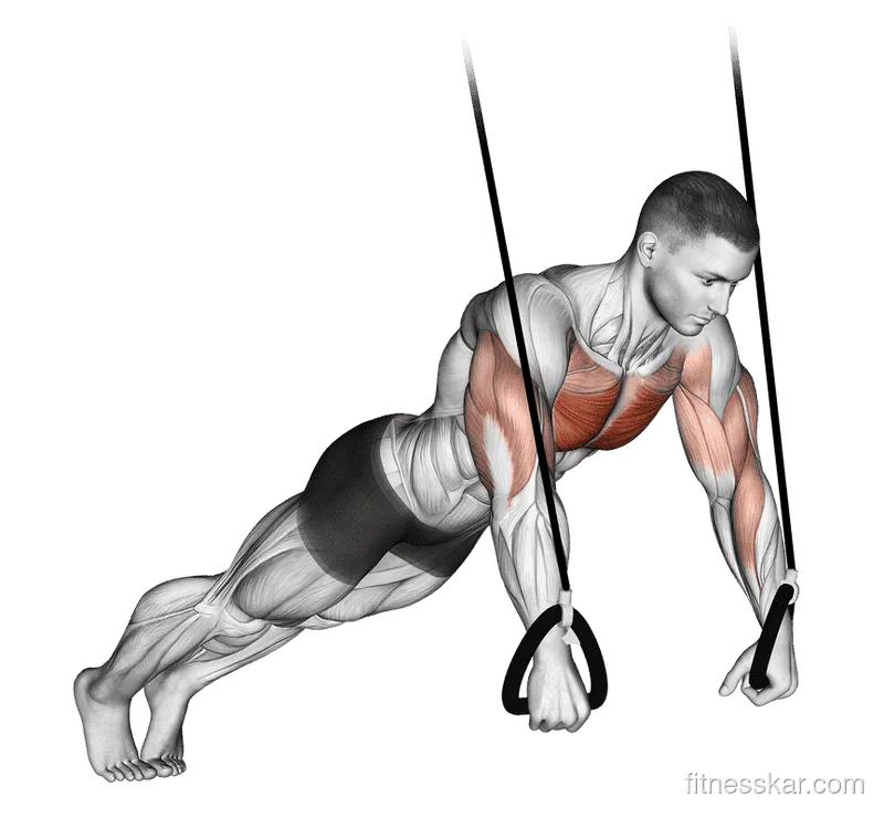 Suspended Push-Up, Male demonstration, Start
